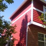 niwot painters