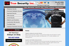 True Security Inc.